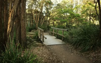 Gunbower Island Walk