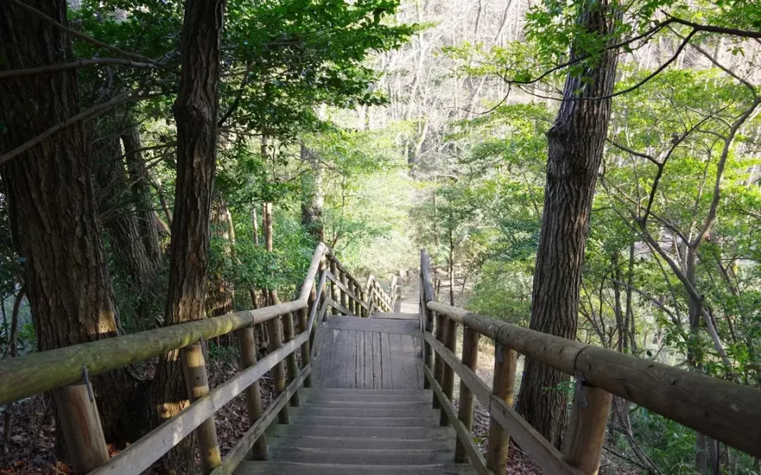 Cohuna Town Walk