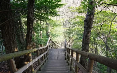 Cohuna Town Walk