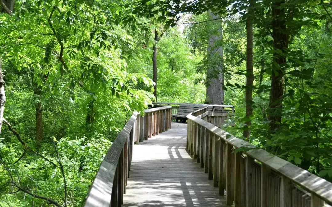 Loddon River Walk