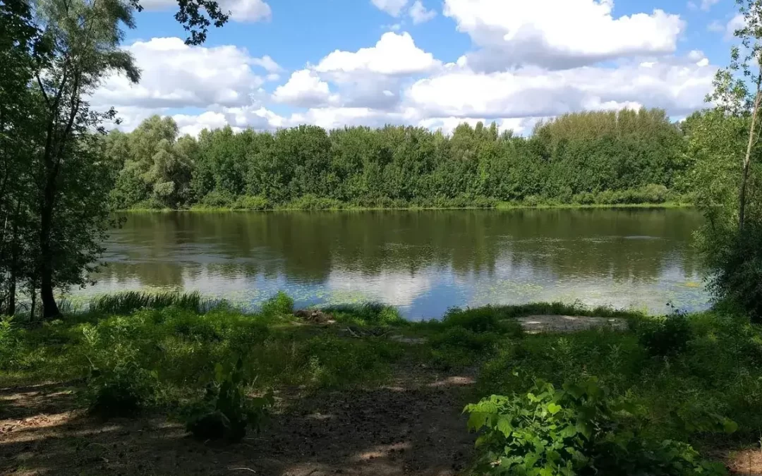 Gunbower Creek