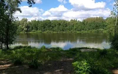 Gunbower Creek