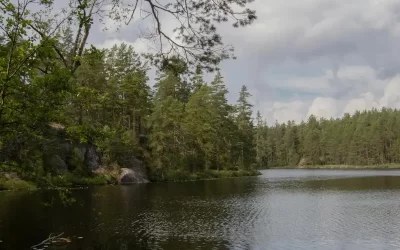 Gunbower Island