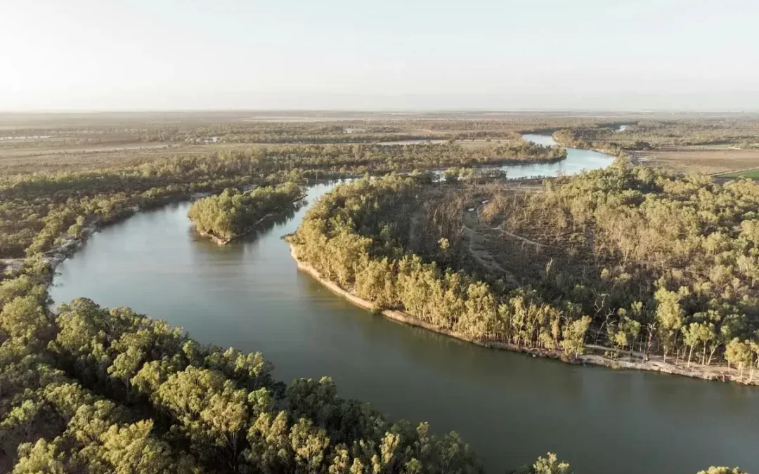 Murray River