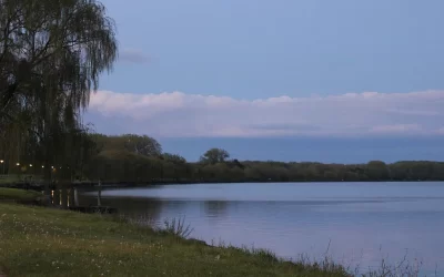 Reedy Lake