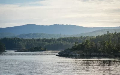 Lake Tutchewop